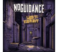 No Guidance - Late To The Party