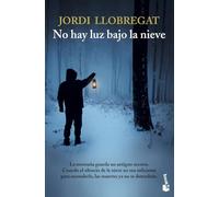 No hay luz bajo la nieve: Serie Álex Serra, 1