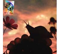 No Joy - Bugland [VINYL]