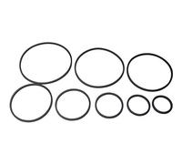 No Name 340071 - Assortimento di cinghie