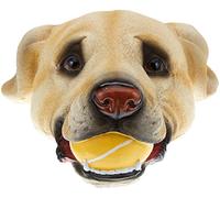 no name - Testa di labrador galleggiante