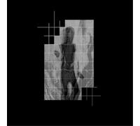 No New Dawn Double Dream (CD) Album