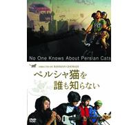 No One Knows About Persian Cat