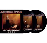 no place for disgrace (2 lp picture disc vinyl)