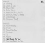 No Rules Sandy - Sylvan Esso (Vinile)