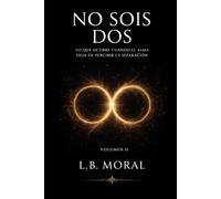 NO SOIS DOS: LO QUE OCURRE CUANDO EL ALMA DEJA DE PERCIBIR LA SEPARACION - VOLUMEN II