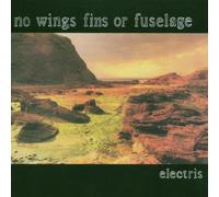 No Wings,Fins Or Fuselage - Electris