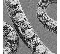 Noah Gundersen GOD DON'T TALK TO STRANGERS/LADY OF THE OCEAN (Vinyl LP)