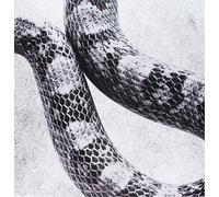 Noah Gundersen 'I'M ALRIGHT/WHITE NOISE (Vinyl LP)