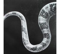 Noah Gundersen SENTIMENTAL KIDS/LAST OF THE LEAVERS (Vinyl LP)