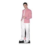 Noah Schnapp Rosa Giacca Grandezza Naturale E Gratuito Mini Sagoma di