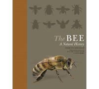 Noah Wilson-Rich The Bee (Tascabile)