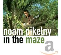 Pikelny, Noam - In The Maze