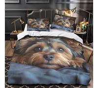 NOASDGYEI Angeli Cherubini copripiumino Set di biancheria da letto 3 pezzi microfibra stampa 3D con cerniera cerniera nascosta Design celeste vintage copripiumino for coppie e adulti King（220x240cm）