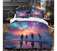 NOASDGYEI Pinguini sotto l'aurora boreale copripiumino Set di biancheria da letto 3 Pezzi stampa 3D con federe con federe per cuscini Set Di Copripiumino for ragazzi e ragazze Single（140x200cm）