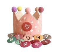 Noaxylic Corona Compleanno, Coroncina Stoffa Compleanno, Numeri Intercambiabili da 1 a 9, Cappellini Festa Birthday Bambini, Tessuto Cappello da Festa per Ragazzi e Ragazze, Rosa