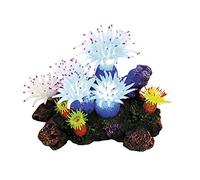 NOBBY 28598 Aqua Ornaments "APLYSINA" - Vaso con piante, con LED da 16, 5 x 12, 0 x 11, 0 cm