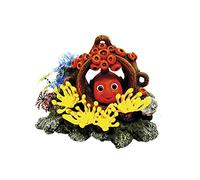 Nobby 28623 Aqua Ornaments Pesci nel KRUG con piante 15,5 x 11,3 x 11,5 cm