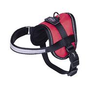 Nobby 80579 Seguro Mini Pettorina per Pancia, Rosso