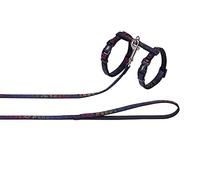 Nobby 80813 - Set per Gatti Star