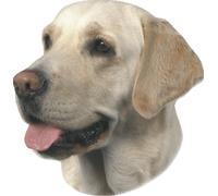 Nobby Adesivi Labrador chiaro 120 x 150 mm, set da 2