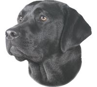 Nobby Adesivi Labrador nero 120 x 150 mm, set da 2
