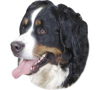 Nobby Adesivo Cane di Berna 120 x 150 mm, set da 2