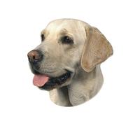 Nobby Adesivo Labrador Light