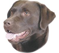 Nobby Adesivo Labrador marrone 120 x 150 mm, set da 2