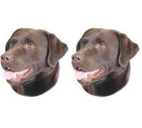 Nobby Adesivo Labrador Marrone (Confezione da 2)