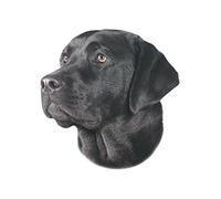 Nobby Adesivo Labrador, Nero