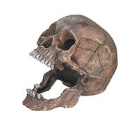Nobby - Adorno de acuario con forma de calavera, 13,5 x 20 x 16,5 cm