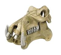 Nobby Aqua Ornaments - Cranio, 23,2 x 17 x 14,8 cm, 1 Pezzo