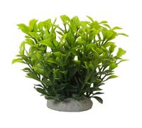 Nobby Aqua Ornaments LUDWIGIA VERDE 6,5 x 6,5 x 11 cm