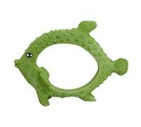 Nobby Aqua Ornaments Pesce 20 x 5,5 x 14,5 cm