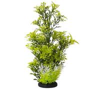 Nobby Aqua Ornaments ROTALA 7 x 7 x 27 cm