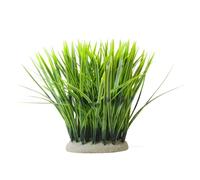 Nobby Aqua Ornaments VALLISNERIA 11,5 x 7 x 20 cm