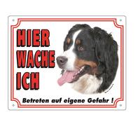 Nobby Cartello di avvertimento Cane da montagna bernese 250 x 200 mm
