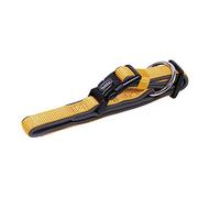 Nobby Classic Preno, collare per cani, 45-65 cm/25-35 mm, arancione/grigio