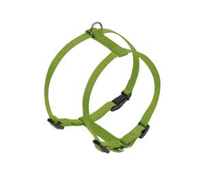Nobby collare "Classico" petto: 30-50 cm, Larghezza: 15 mm verde menta