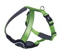 Nobby Collare Comfort Classic Preno Bulldog Francese Carlino Neon Verde/Grigio