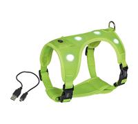 Nobby Collare Flash Mesh LED Neon Giallo Per Cani, Impermeabile, USB
