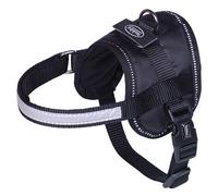 Nobby Collare Seguro Mini Nero, 31-40 Cm, Riflettente, Per Cani
