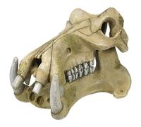 Nobby Aqua Ornaments - Cranio, 23,2 x 17 x 14,8 cm, 1 Pezzo