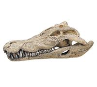 Nobby, Decorazione per Acquario con Teschio di Coccodrillo, 26 x 14 x 9 cm