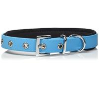 Nobby di Collare, 45 - 55 cm/25 mm, Azzurro