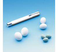 Nobby Eggs Nest Ws 100 Pezzo, 2,5 CM - Protezione Vor Kannibalismus & Eierpicken