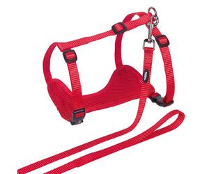 Nobby gattino "Mesh" rosso; L-XL
