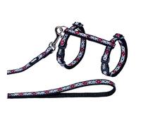 Nobby Gatto Insieme Rhombus Nero, Regolabile a Piacimento, Nylonset