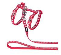 Nobby Gatto Insieme Royale Rosso Pettorina & Guinzaglio Nylon Infinitamente